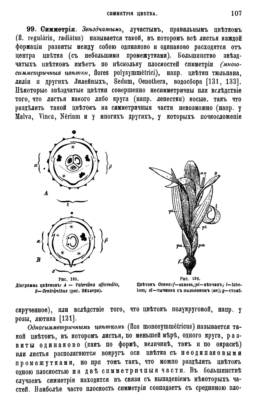 Скан страницы 110 книги «Систематика растений. Часть 1»