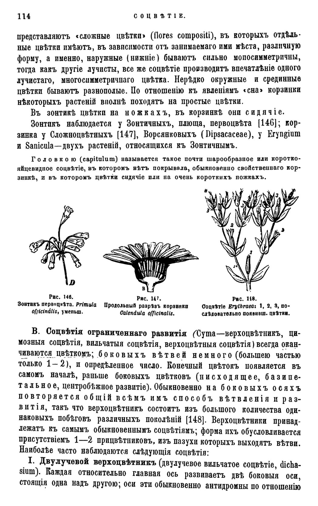 Скан страницы 117 книги «Систематика растений. Часть 1»
