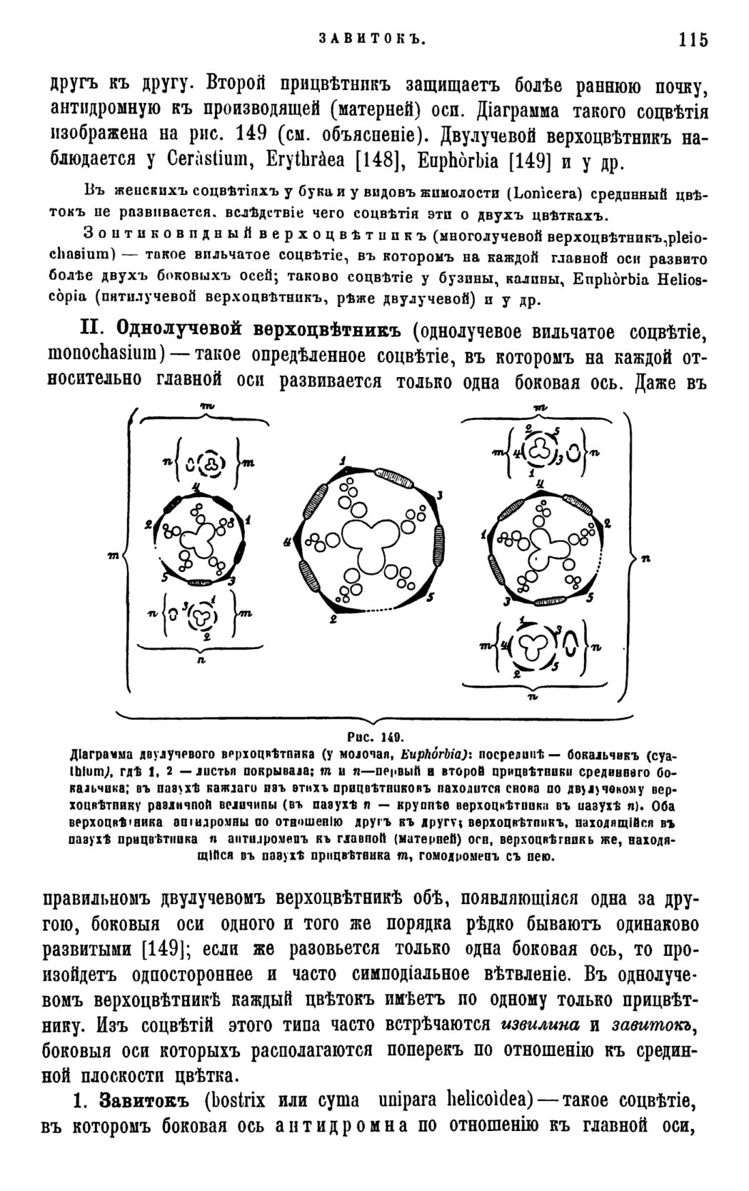 Скан страницы 118 книги «Систематика растений. Часть 1»