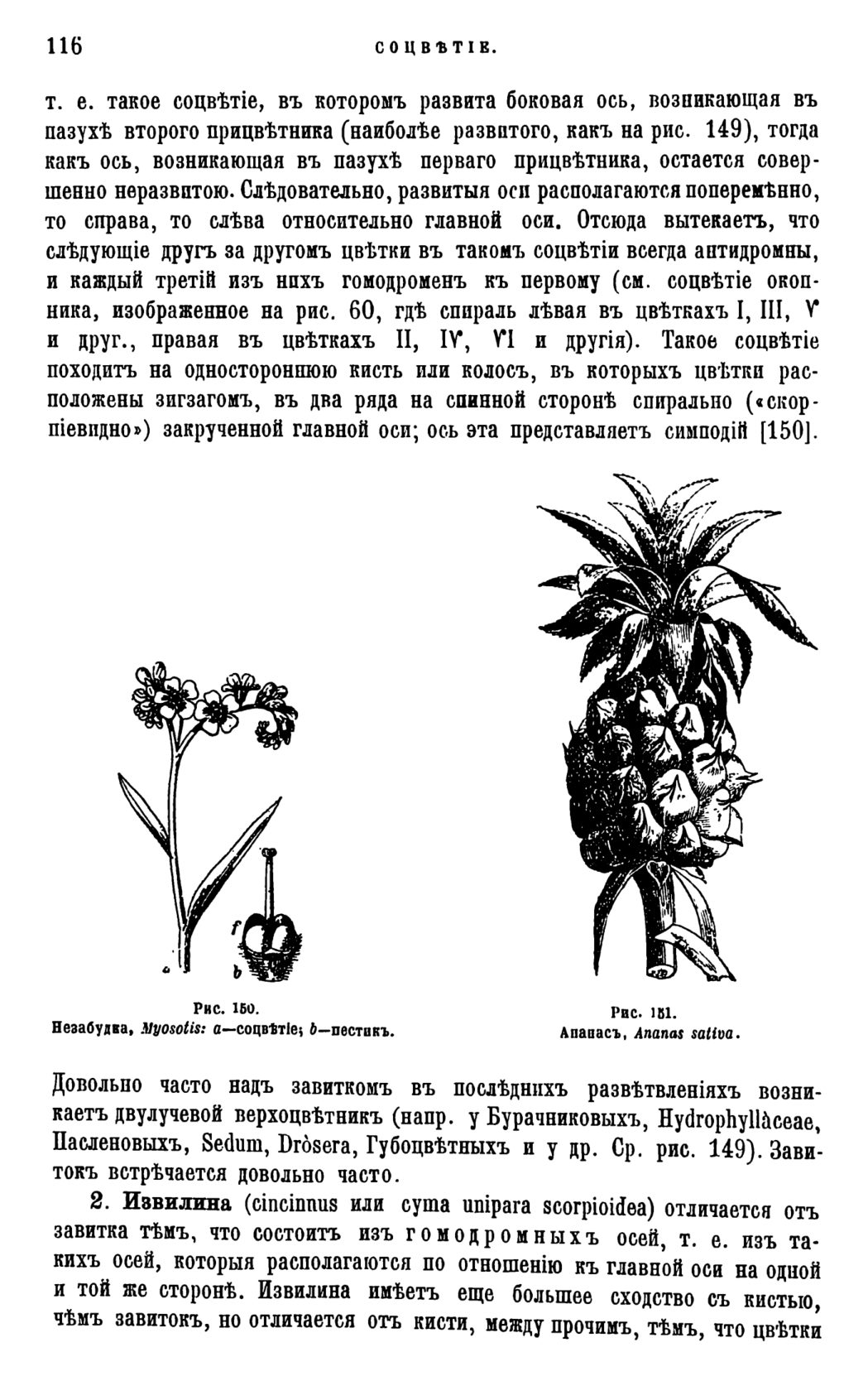 Скан страницы 119 книги «Систематика растений. Часть 1»