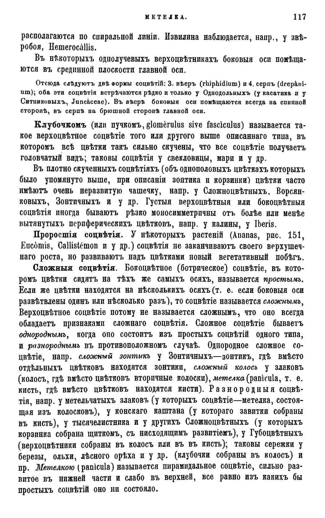 Скан страницы 120 книги «Систематика растений. Часть 1»