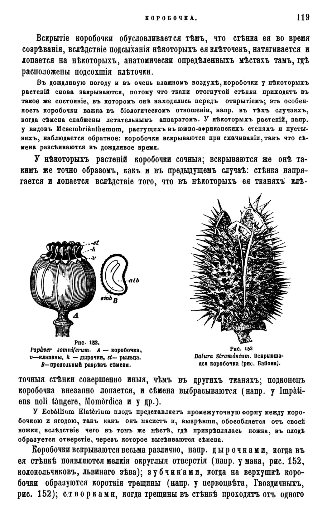 Скан страницы 122 книги «Систематика растений. Часть 1»