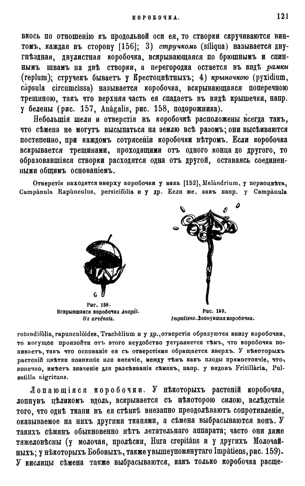 Скан страницы 124 книги «Систематика растений. Часть 1»