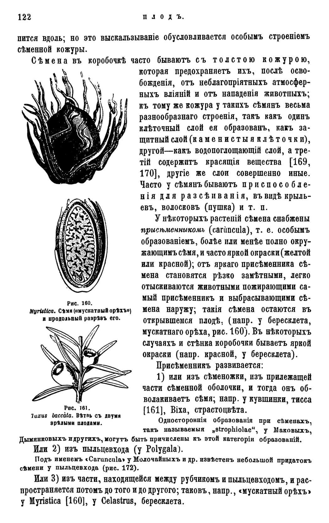 Скан страницы 125 книги «Систематика растений. Часть 1»