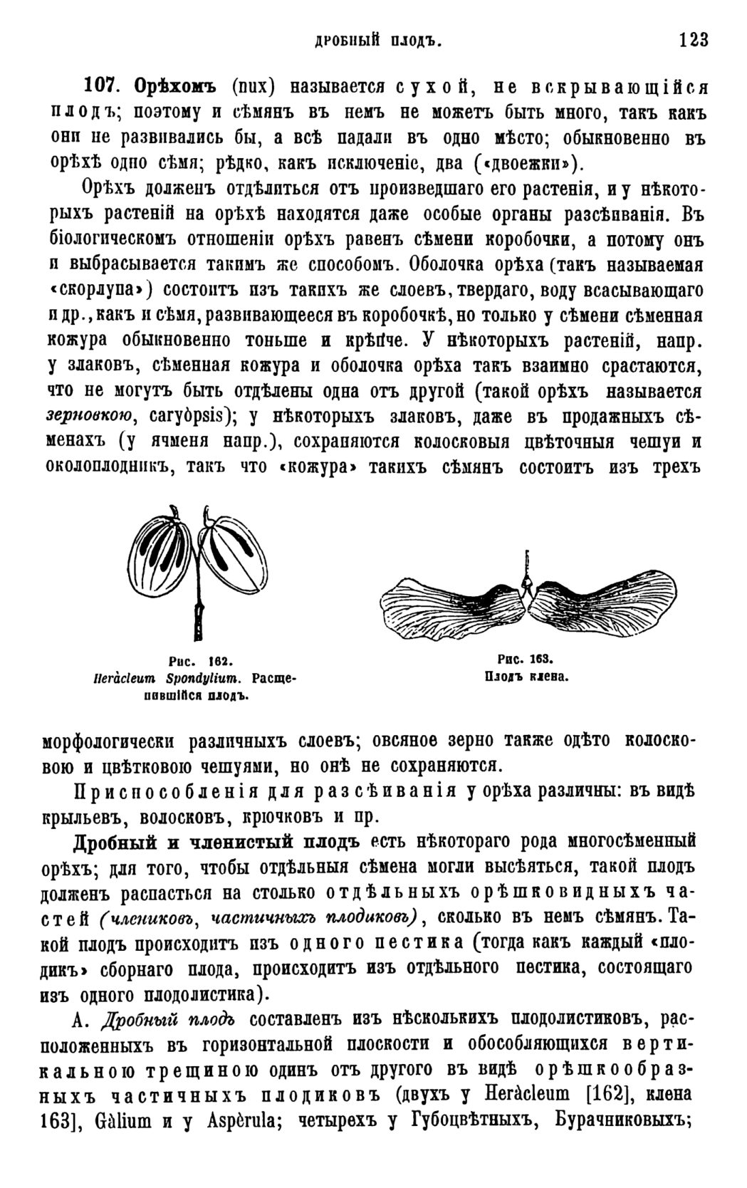 Скан страницы 126 книги «Систематика растений. Часть 1»