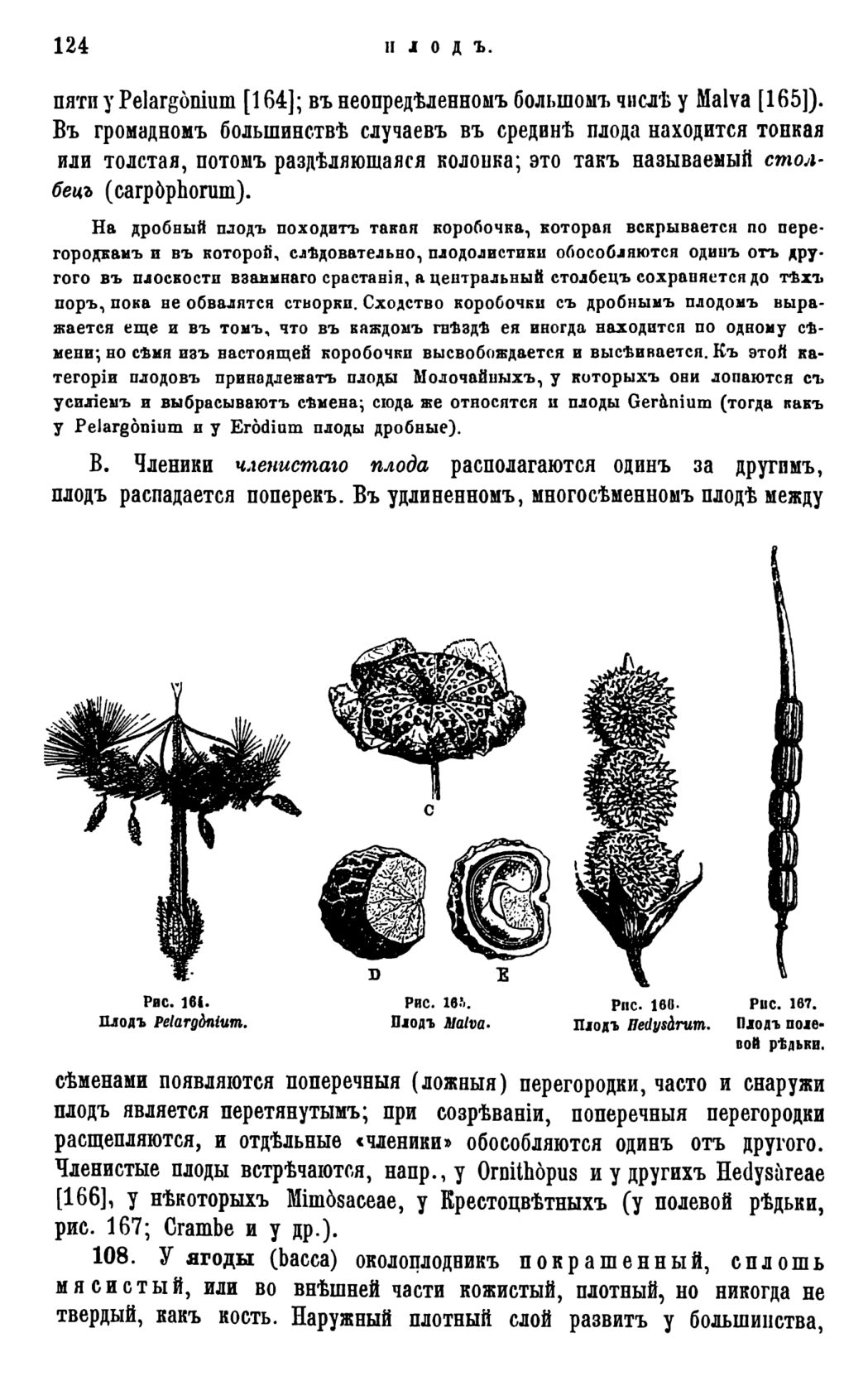 Скан страницы 127 книги «Систематика растений. Часть 1»