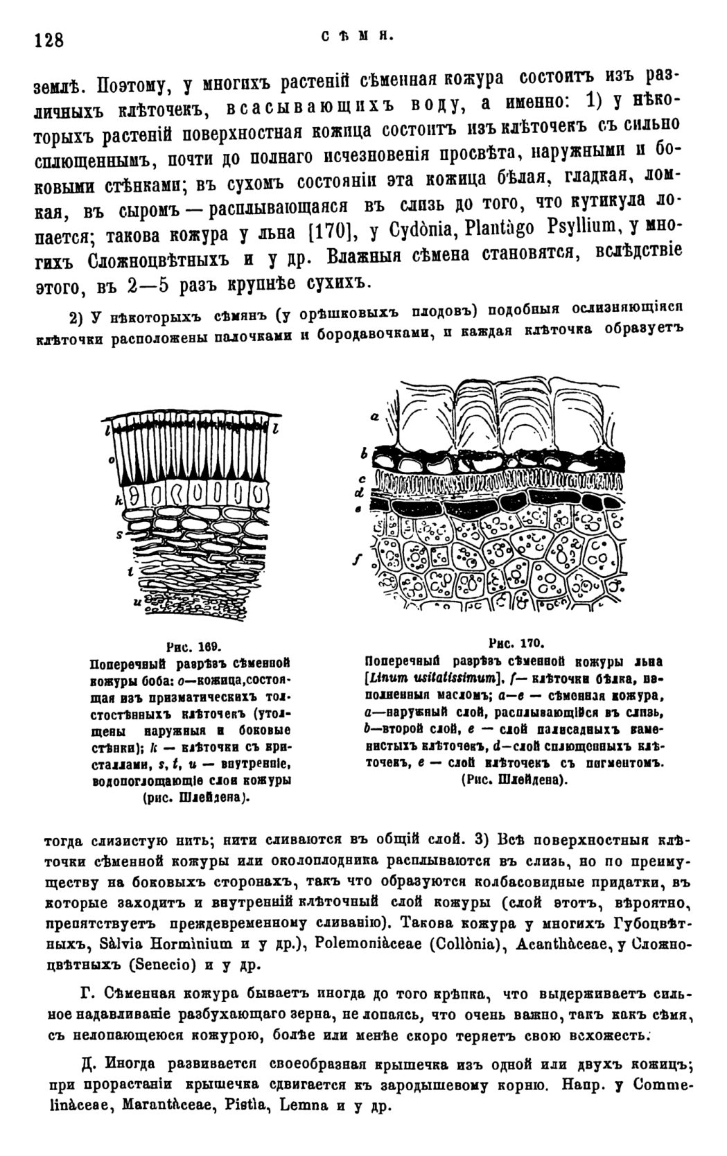 Скан страницы 131 книги «Систематика растений. Часть 1»