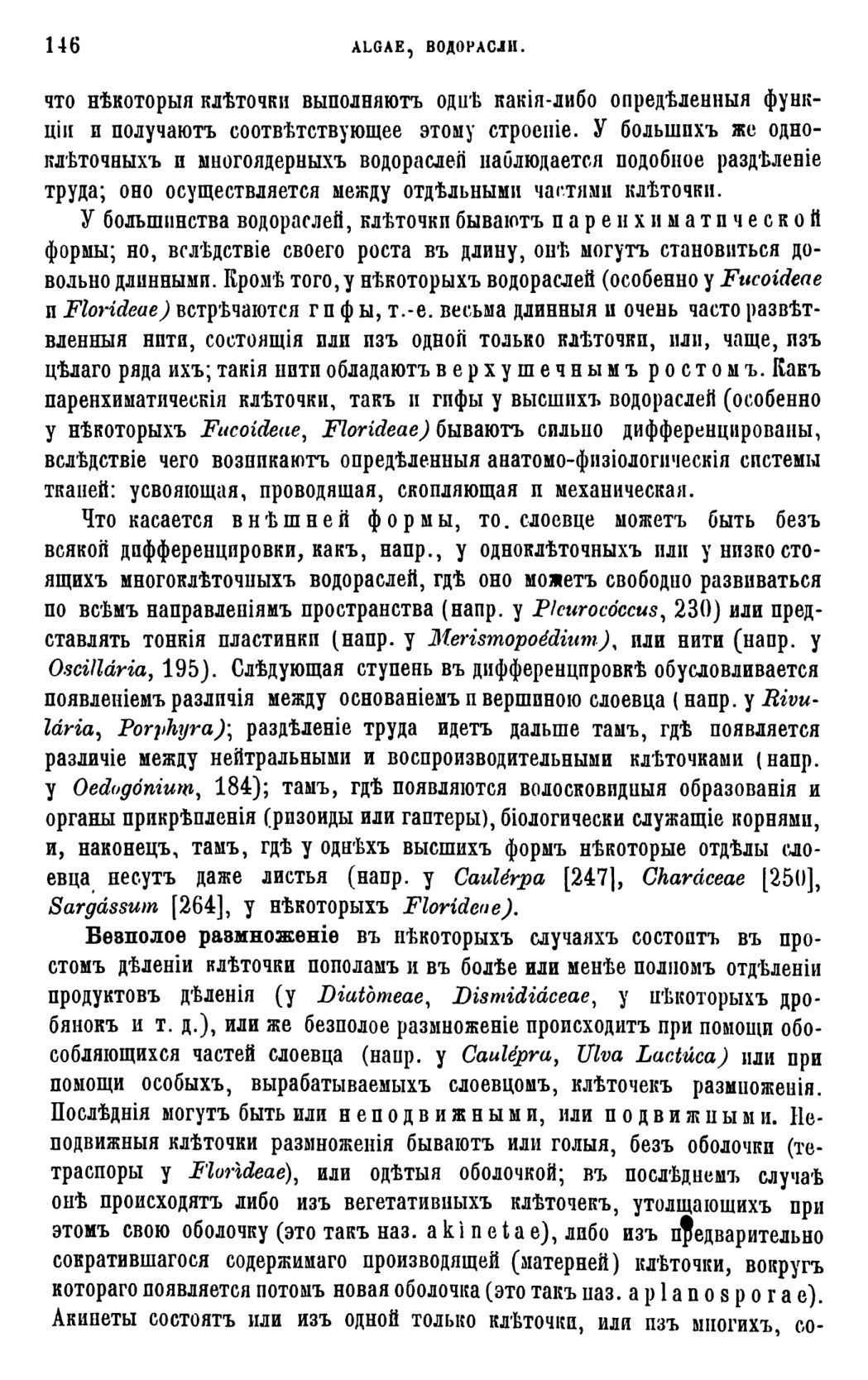 Скан страницы 149 книги «Систематика растений. Часть 1»