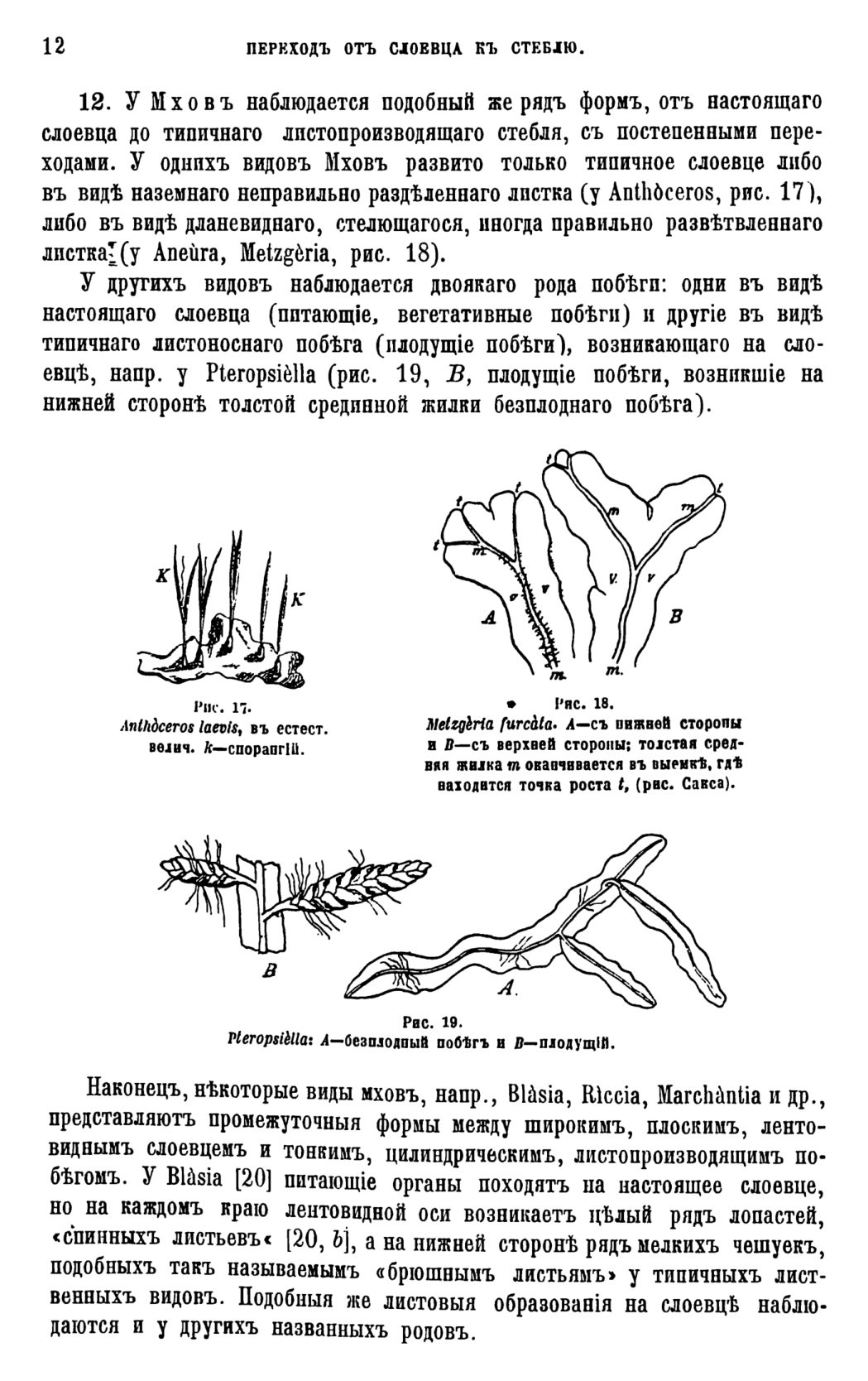 Скан страницы 15 книги «Систематика растений. Часть 1»