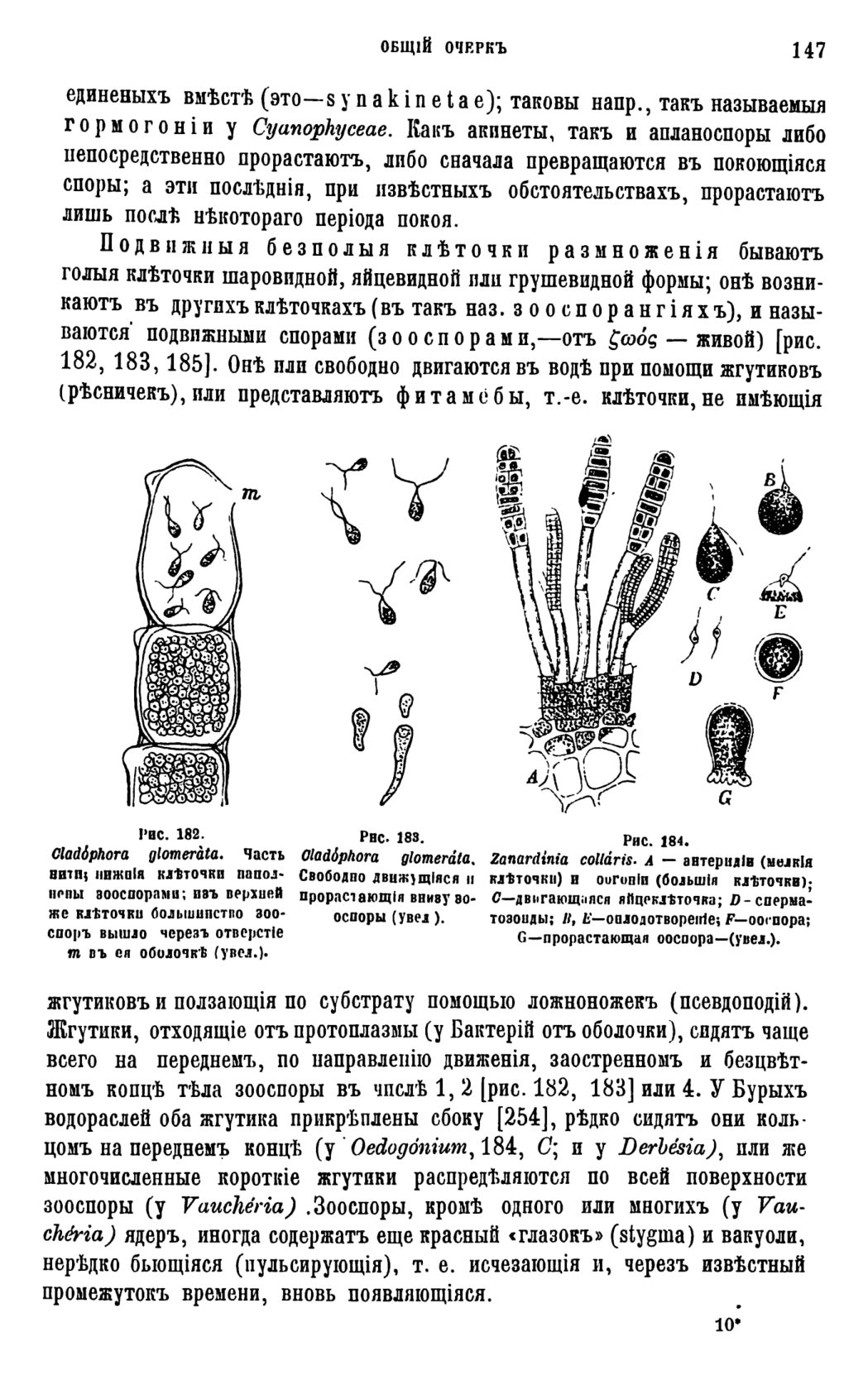 Скан страницы 150 книги «Систематика растений. Часть 1»