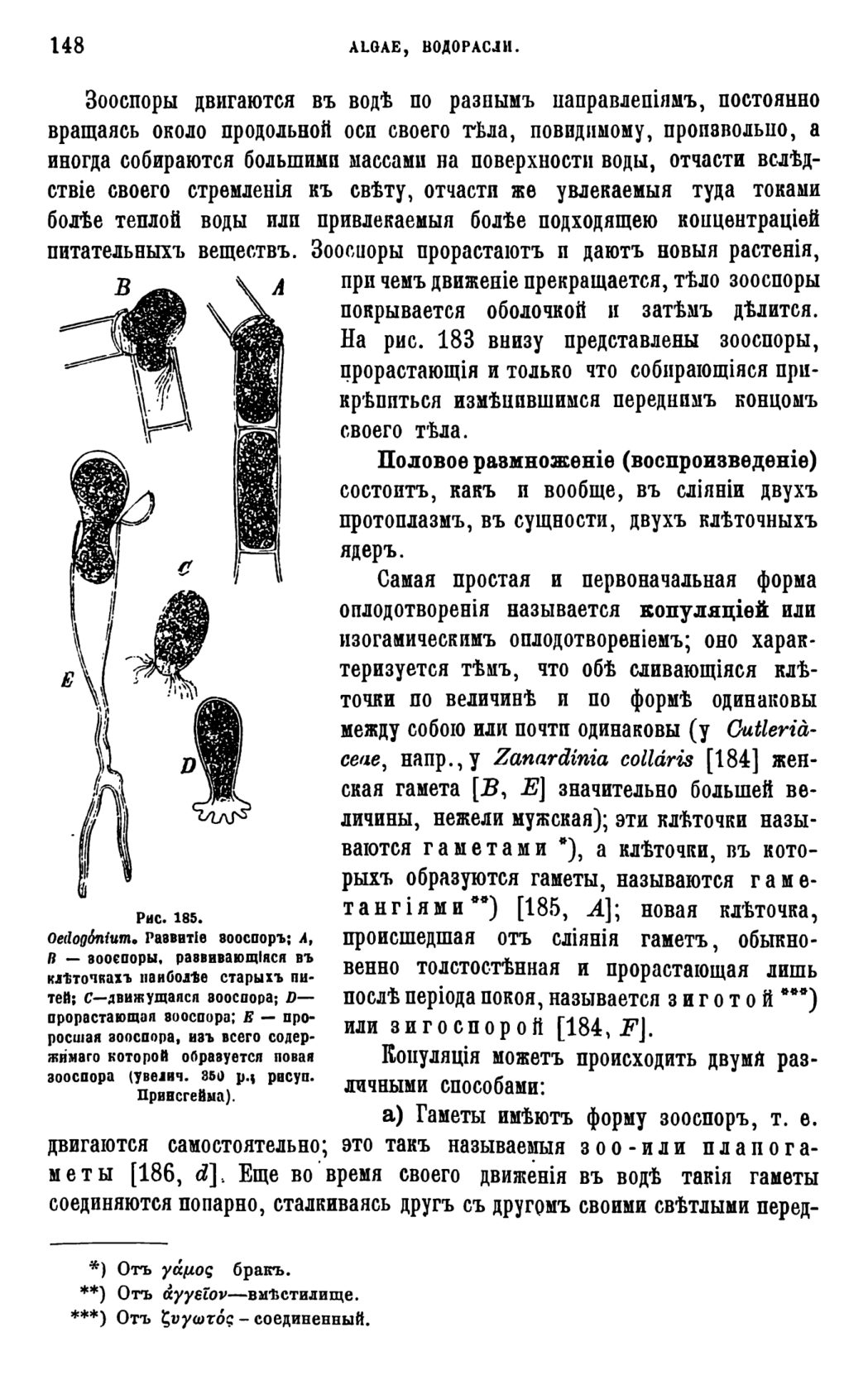 Скан страницы 151 книги «Систематика растений. Часть 1»