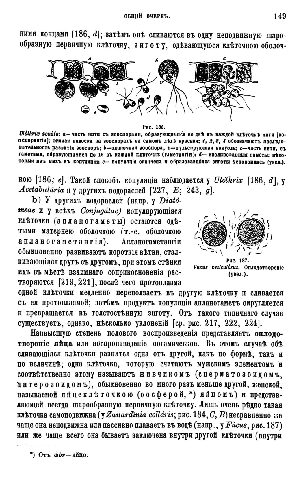 Скан страницы 152 книги «Систематика растений. Часть 1»
