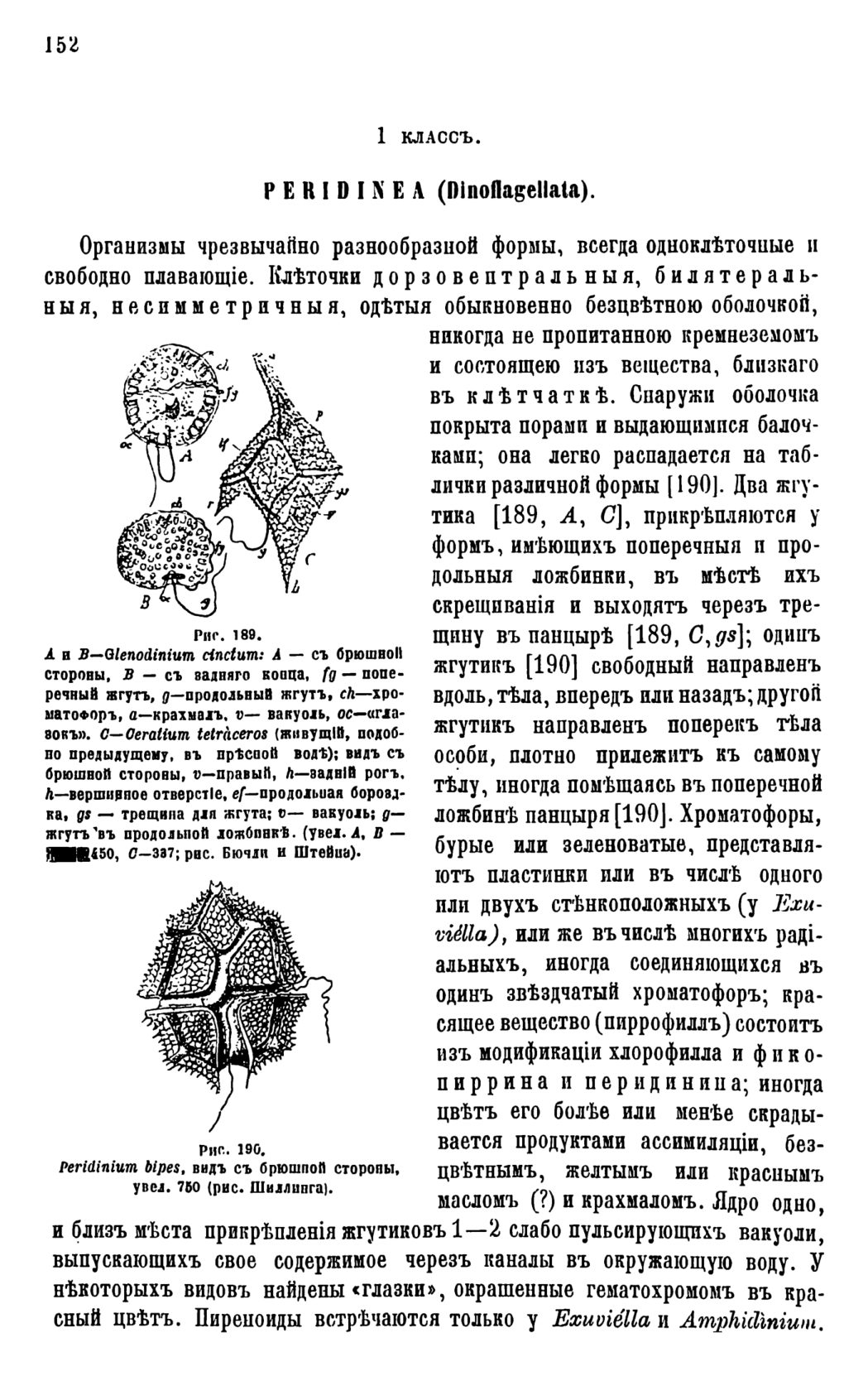 Скан страницы 155 книги «Систематика растений. Часть 1»