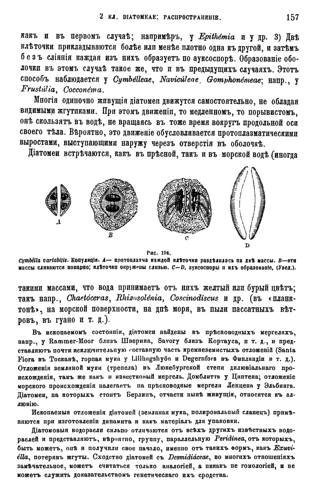 Скан страницы 160 книги «Систематика растений. Часть 1»