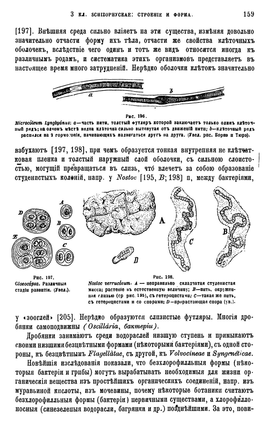 Скан страницы 162 книги «Систематика растений. Часть 1»