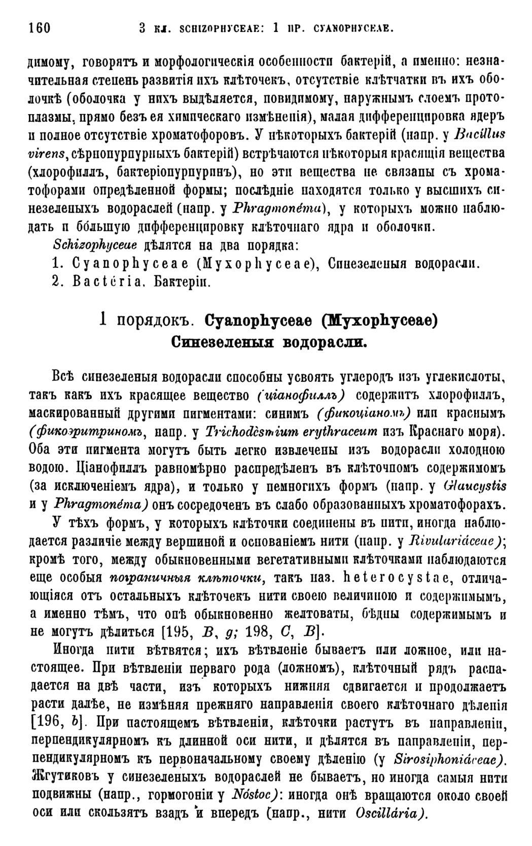 Скан страницы 163 книги «Систематика растений. Часть 1»