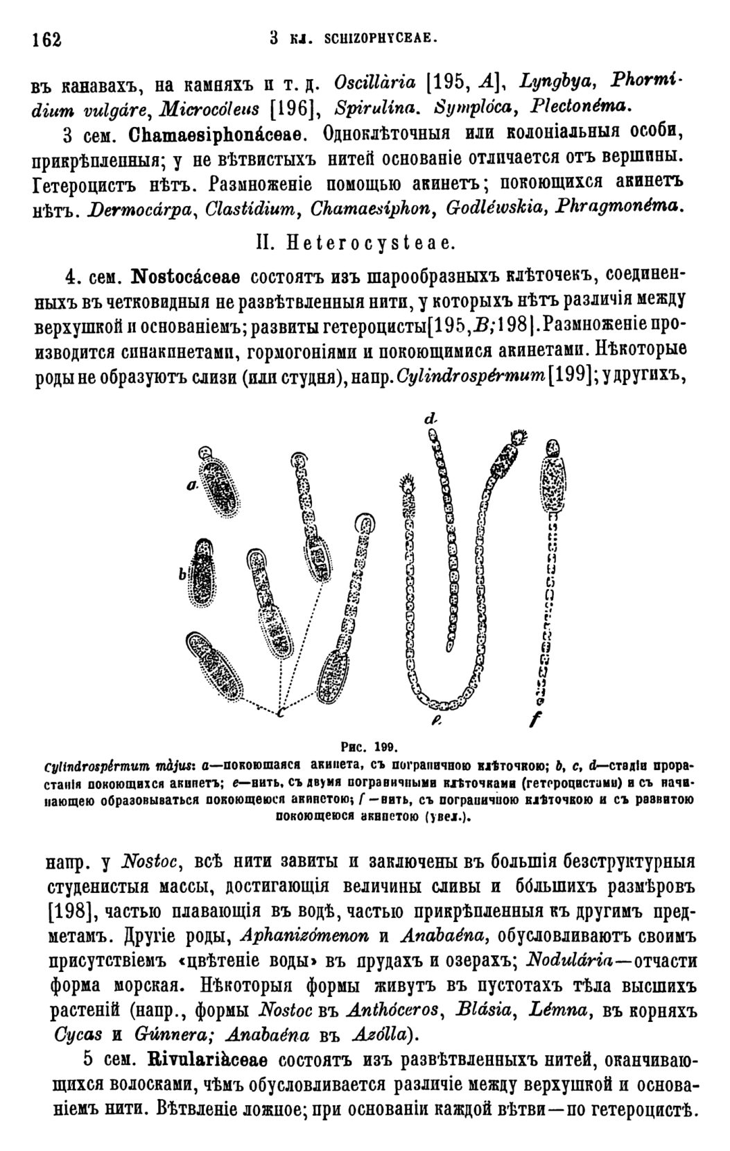 Скан страницы 165 книги «Систематика растений. Часть 1»