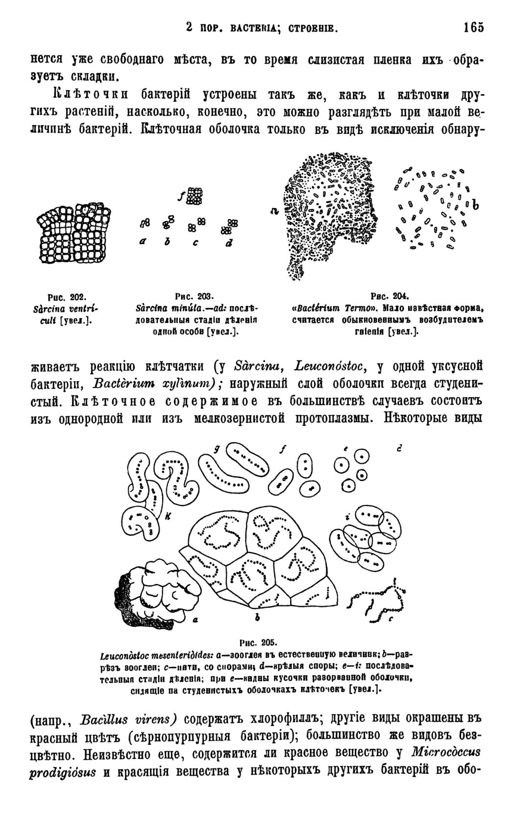 Скан страницы 168 книги «Систематика растений. Часть 1»