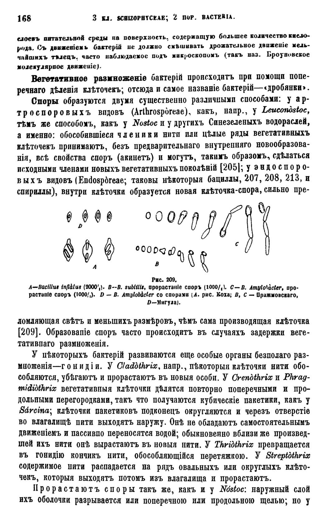 Скан страницы 171 книги «Систематика растений. Часть 1»