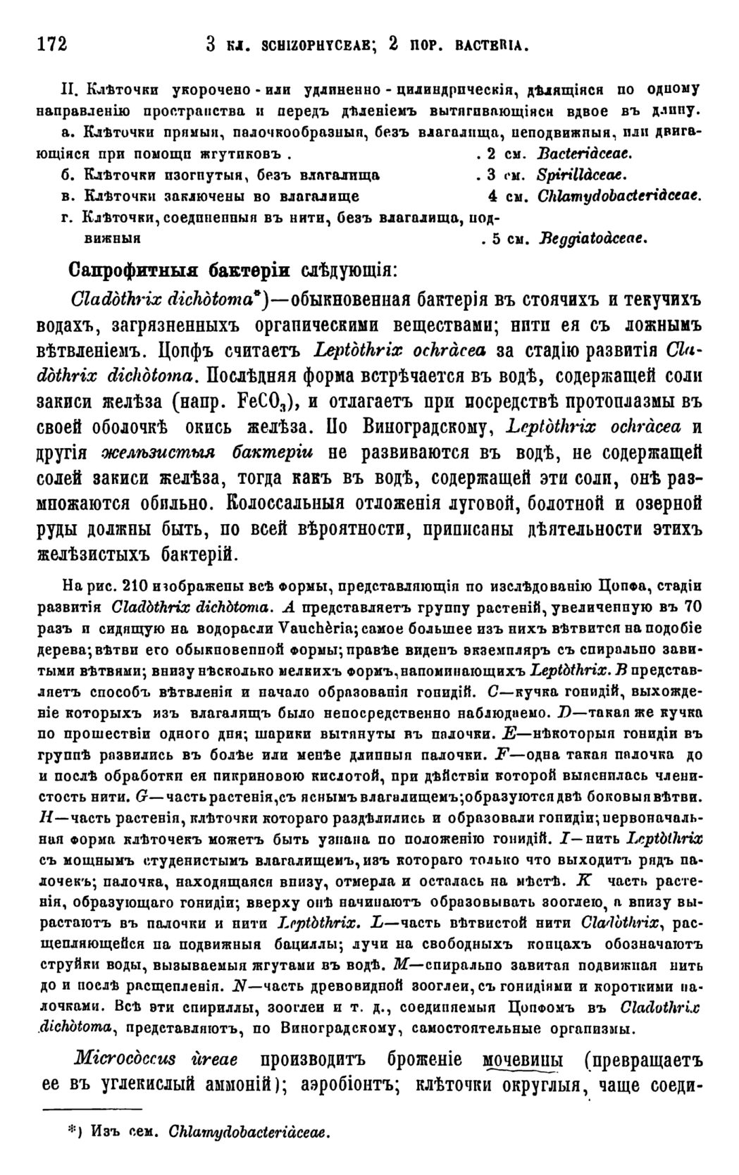 Скан страницы 175 книги «Систематика растений. Часть 1»