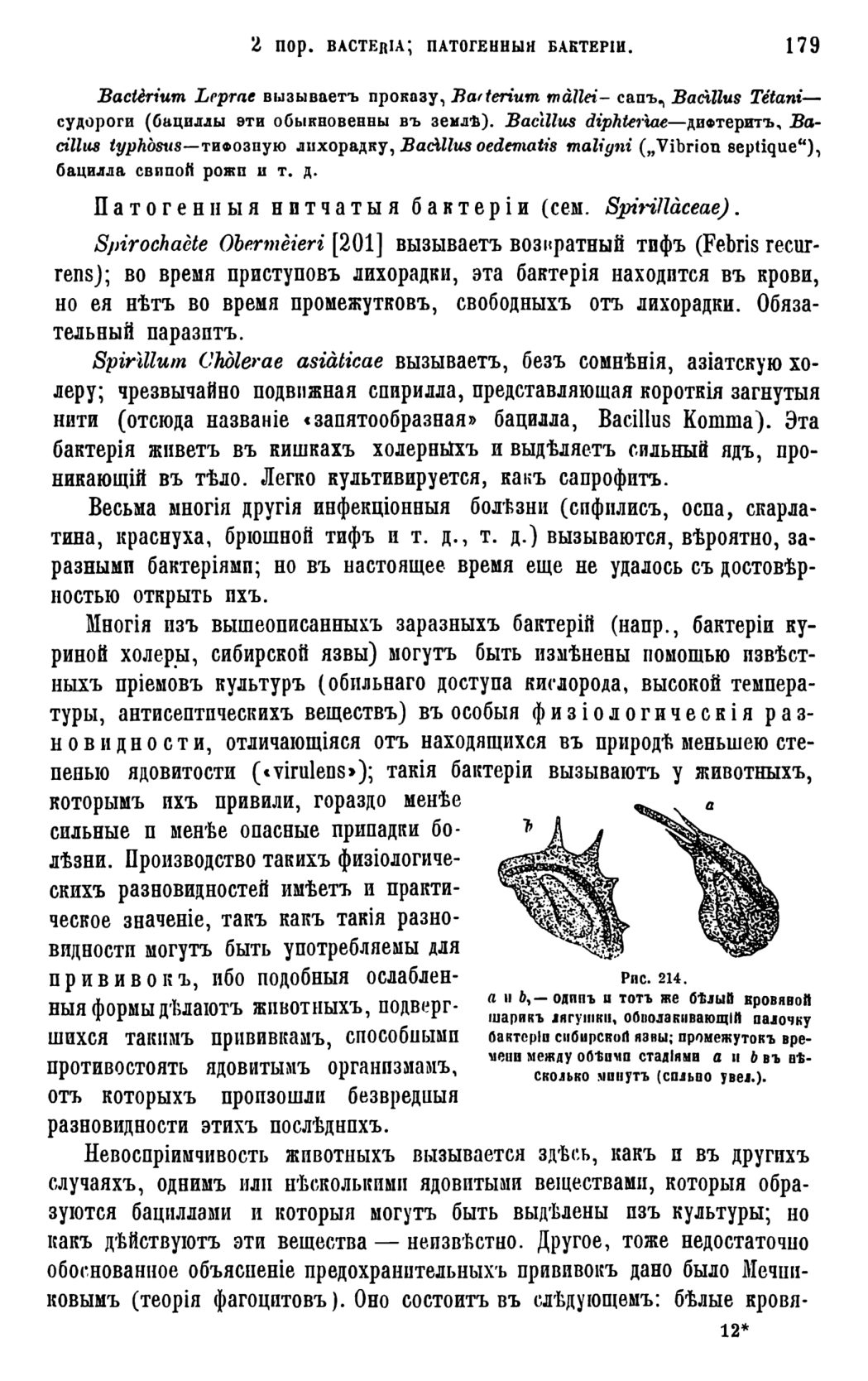 Скан страницы 182 книги «Систематика растений. Часть 1»