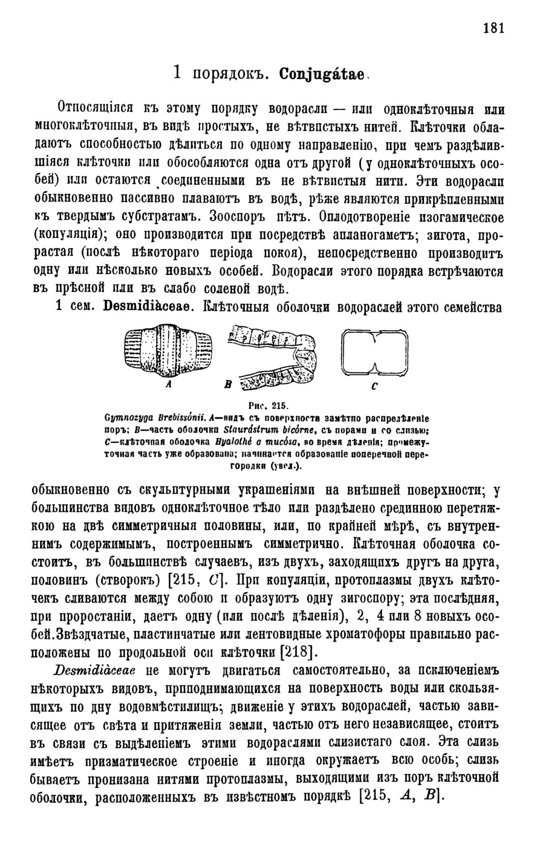 Скан страницы 184 книги «Систематика растений. Часть 1»
