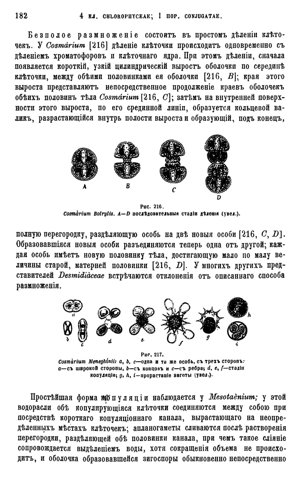 Скан страницы 185 книги «Систематика растений. Часть 1»