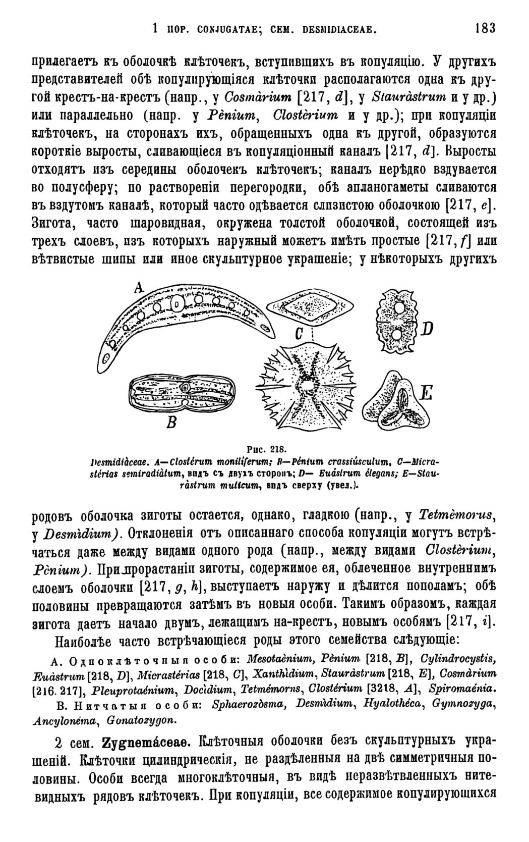 Скан страницы 186 книги «Систематика растений. Часть 1»