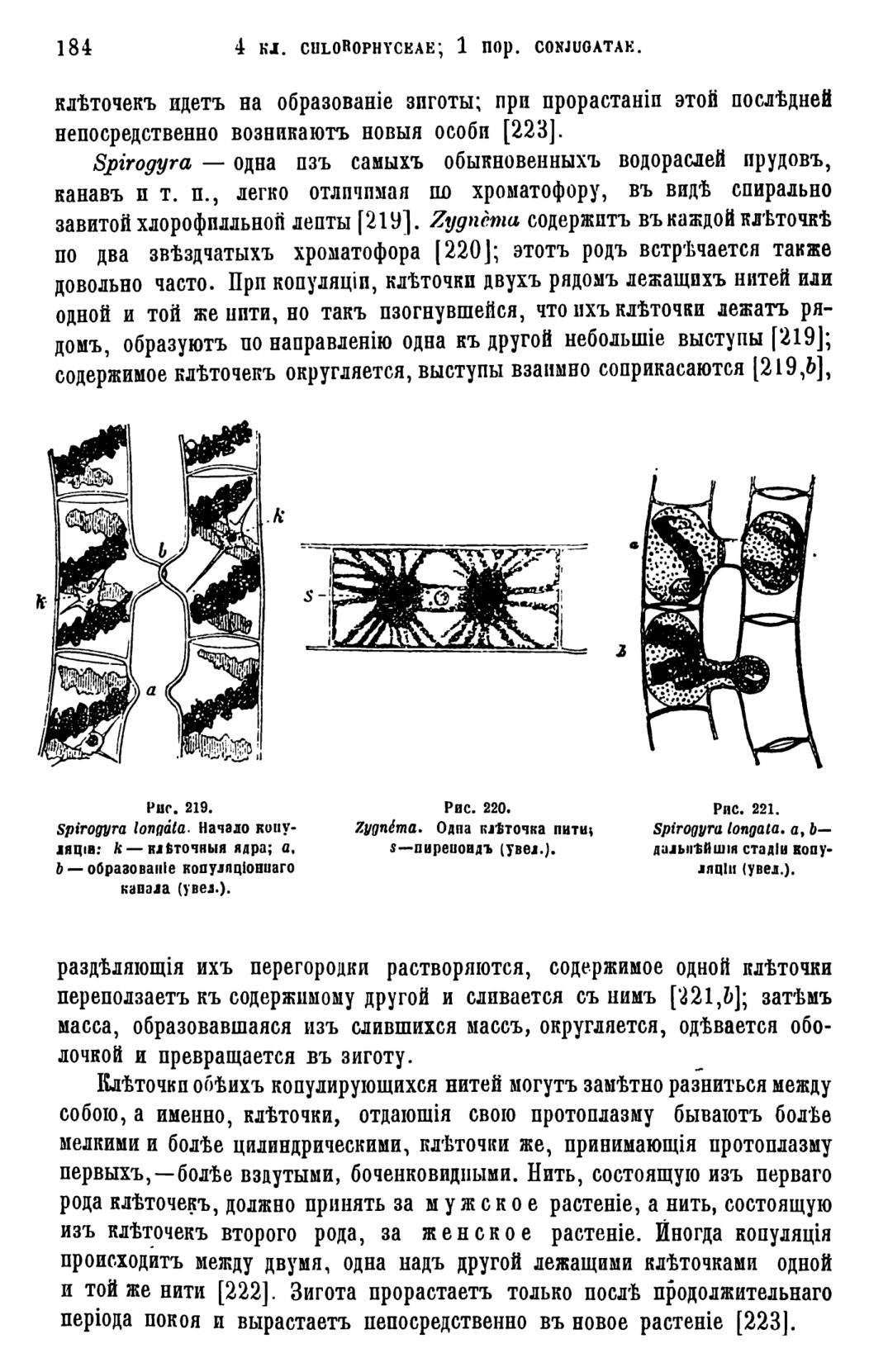 Скан страницы 187 книги «Систематика растений. Часть 1»