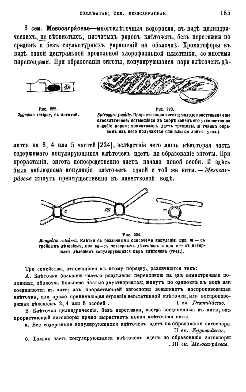 Скан страницы 188 книги «Систематика растений. Часть 1»