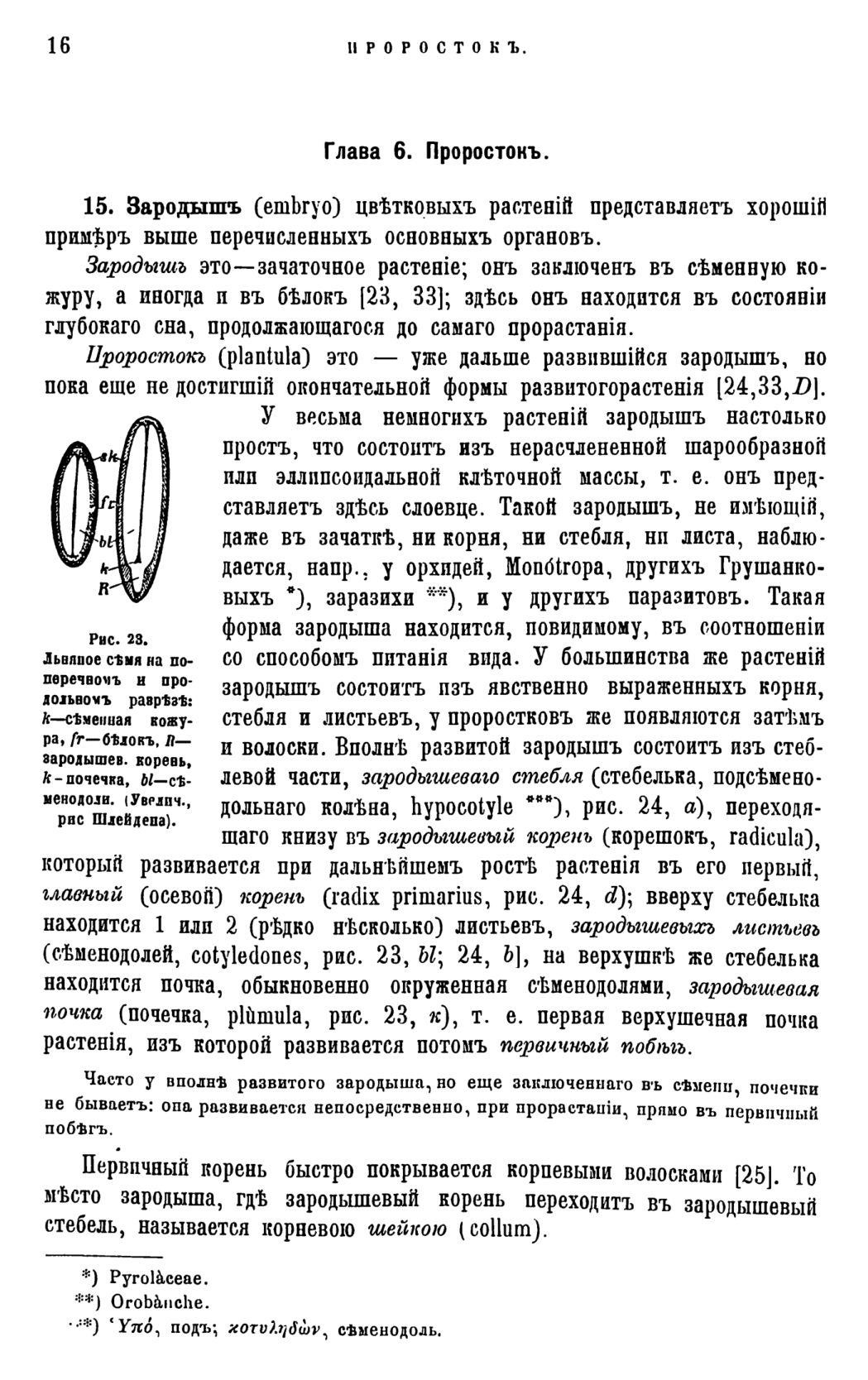Скан страницы 19 книги «Систематика растений. Часть 1»