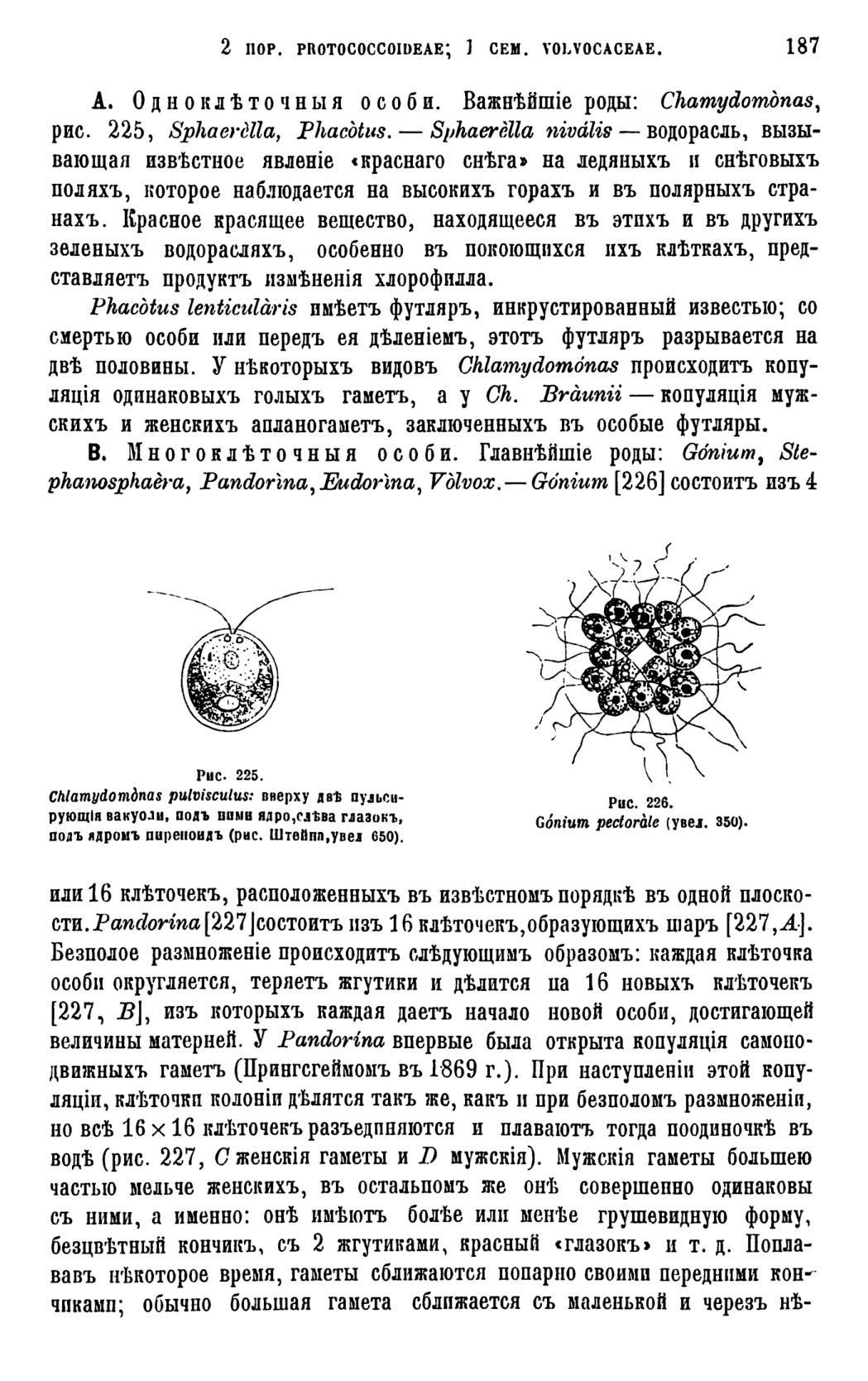 Скан страницы 190 книги «Систематика растений. Часть 1»