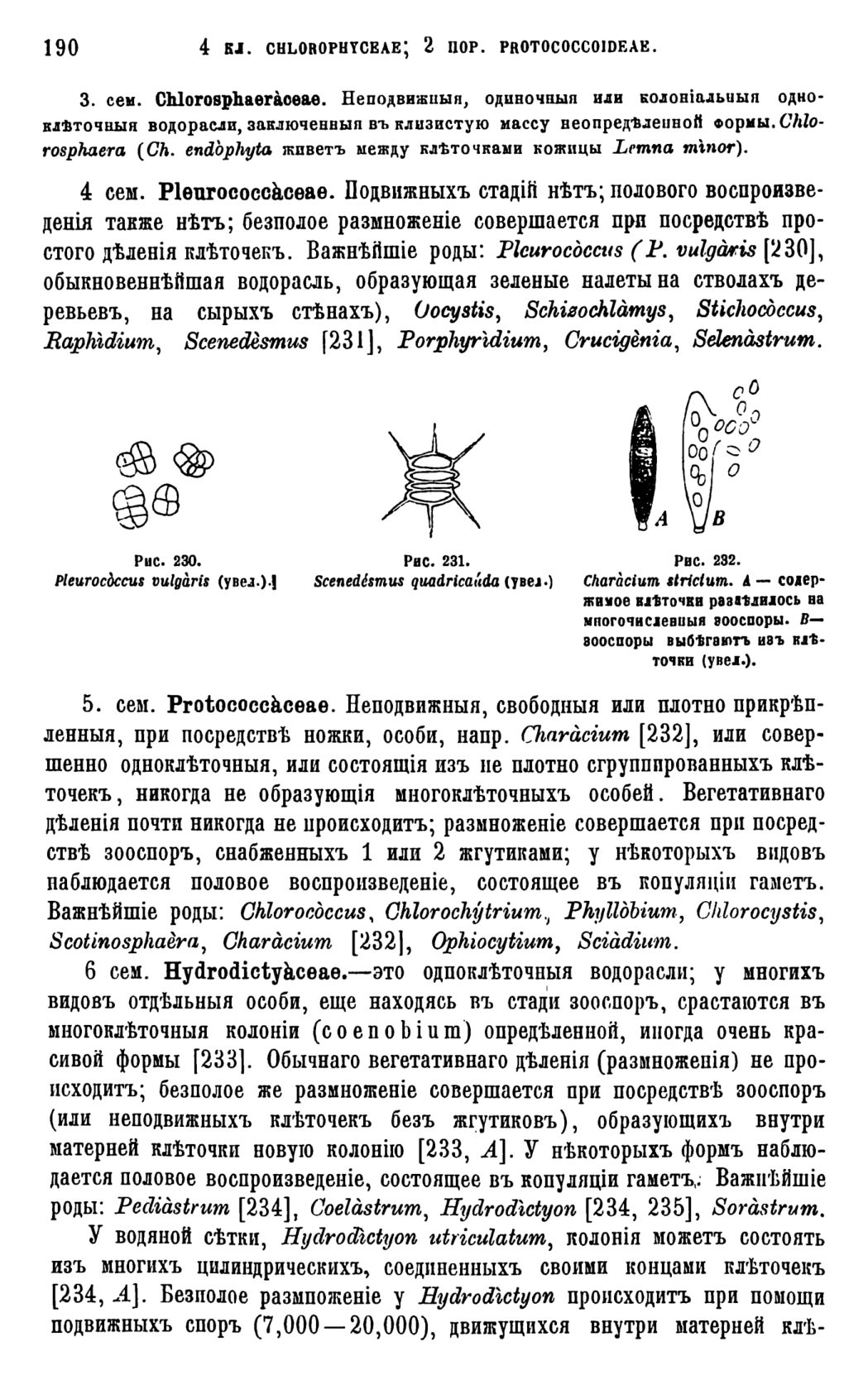 Скан страницы 193 книги «Систематика растений. Часть 1»