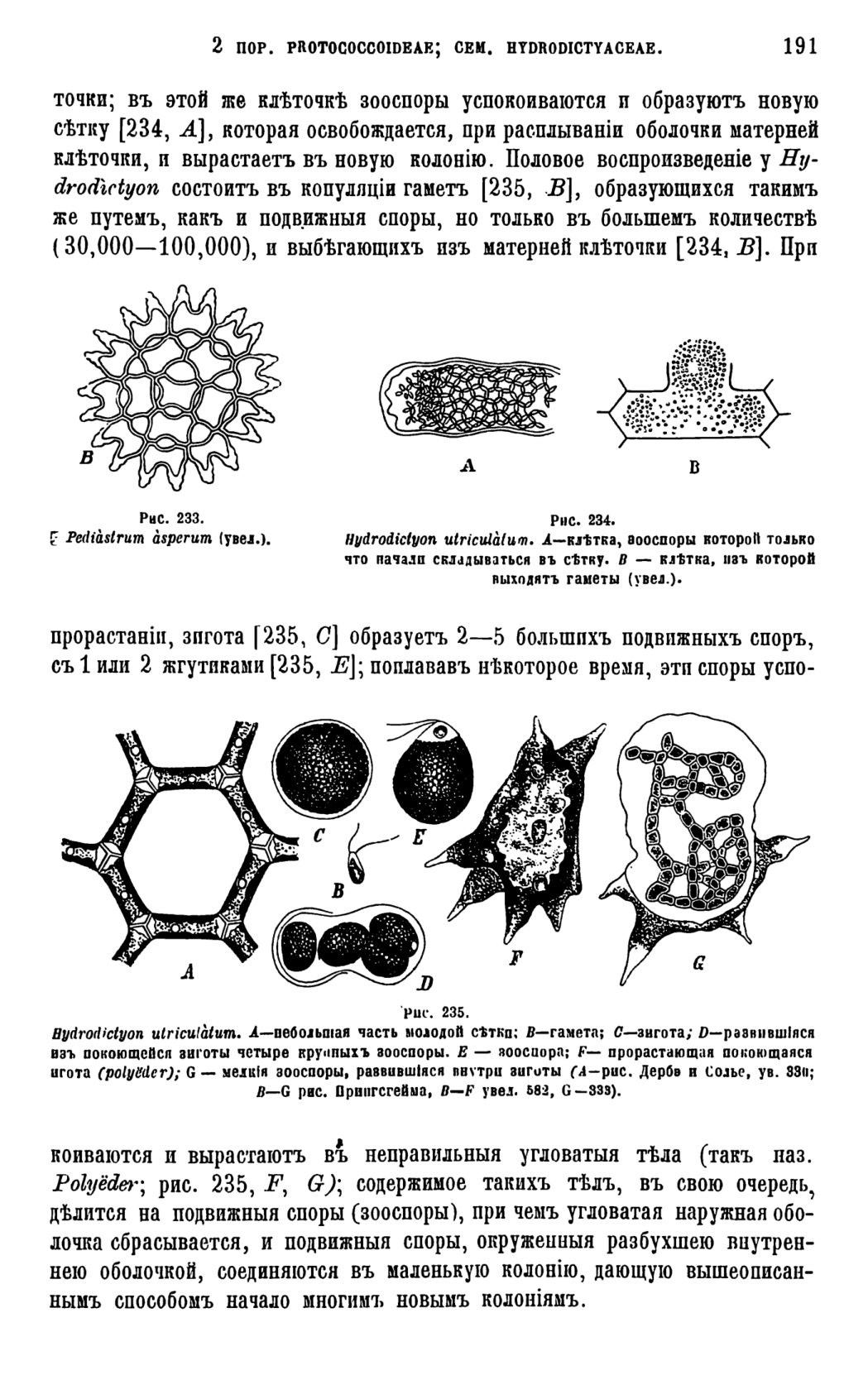 Скан страницы 194 книги «Систематика растений. Часть 1»