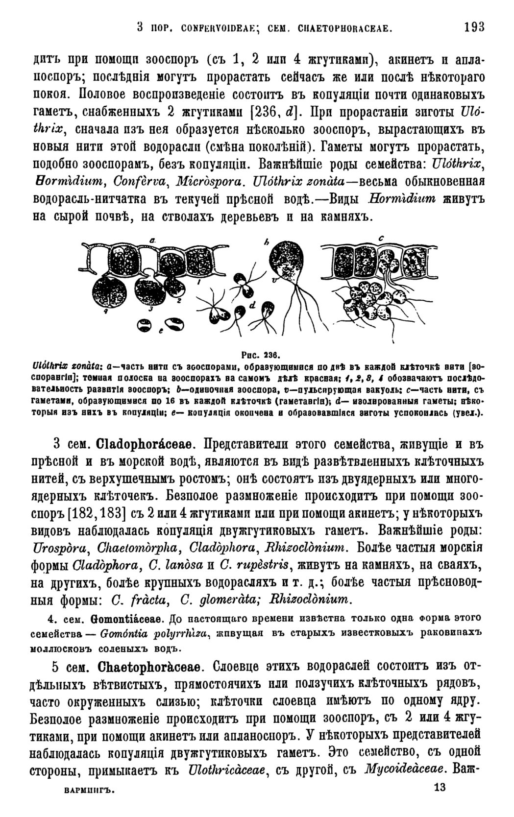 Скан страницы 196 книги «Систематика растений. Часть 1»