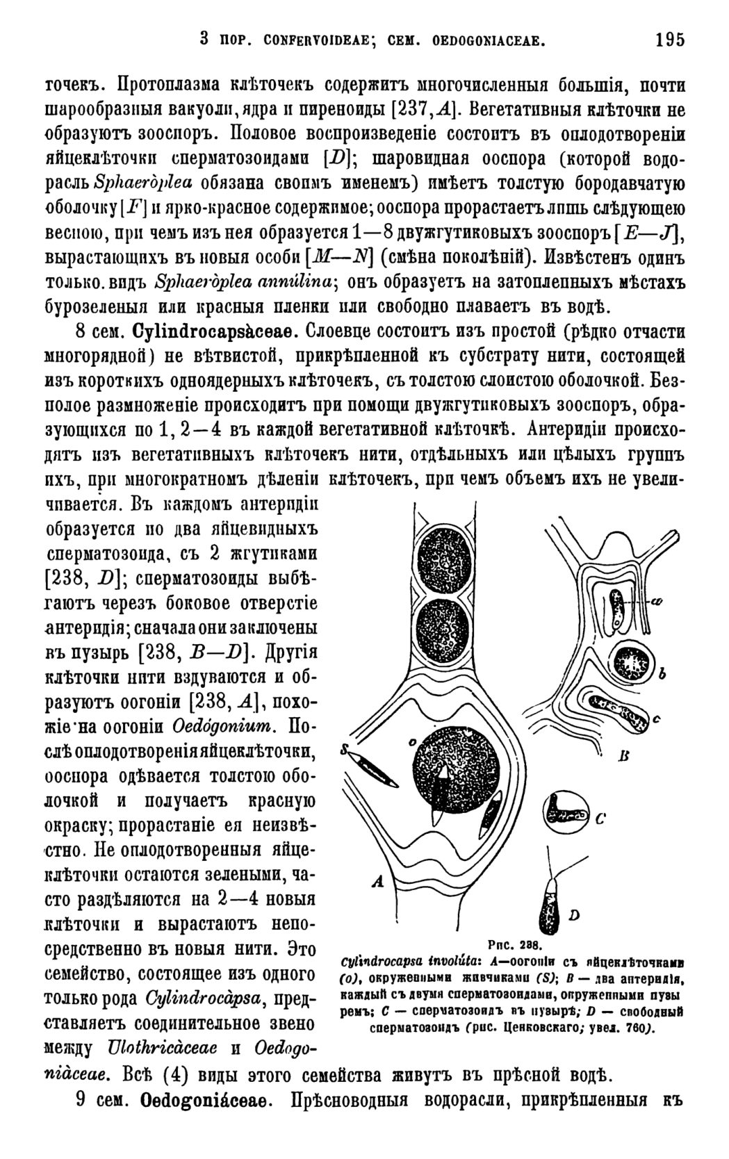 Скан страницы 198 книги «Систематика растений. Часть 1»