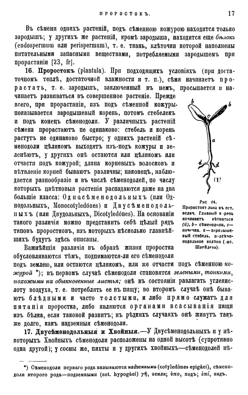 Скан страницы 20 книги «Систематика растений. Часть 1»