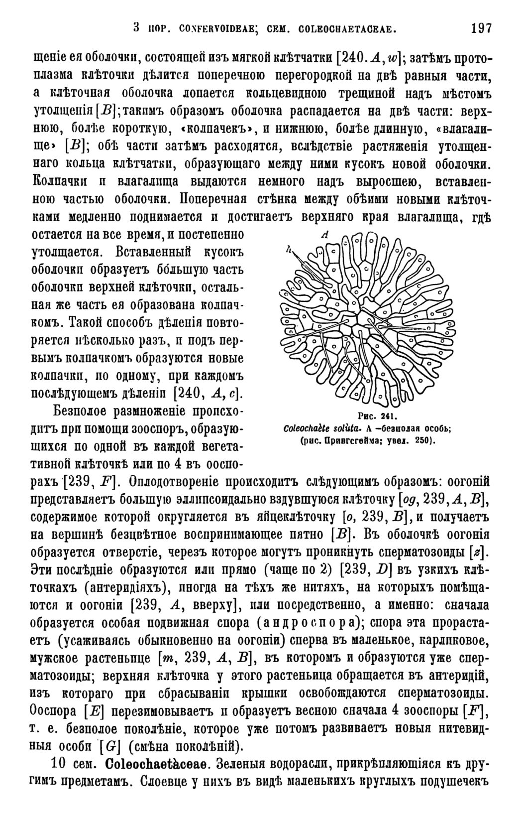 Скан страницы 200 книги «Систематика растений. Часть 1»