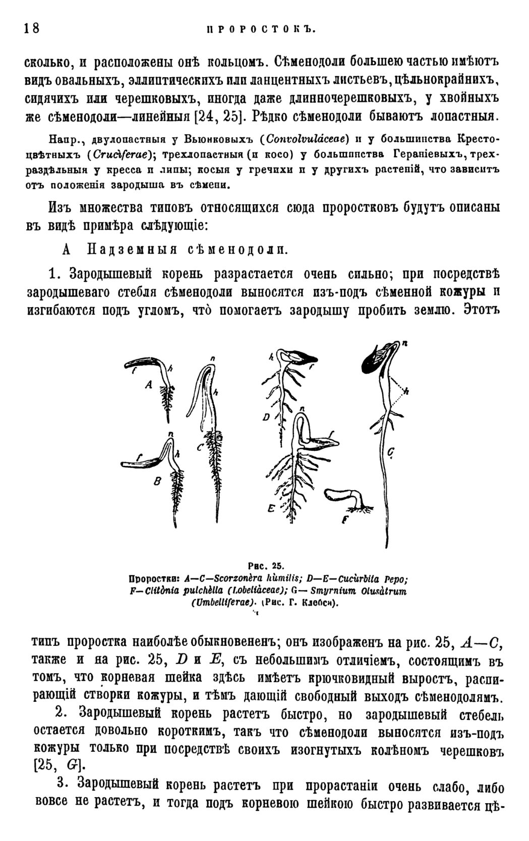 Скан страницы 21 книги «Систематика растений. Часть 1»
