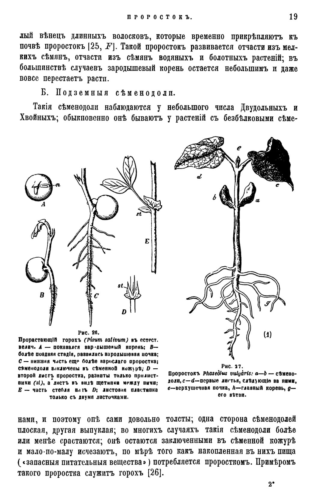 Скан страницы 22 книги «Систематика растений. Часть 1»