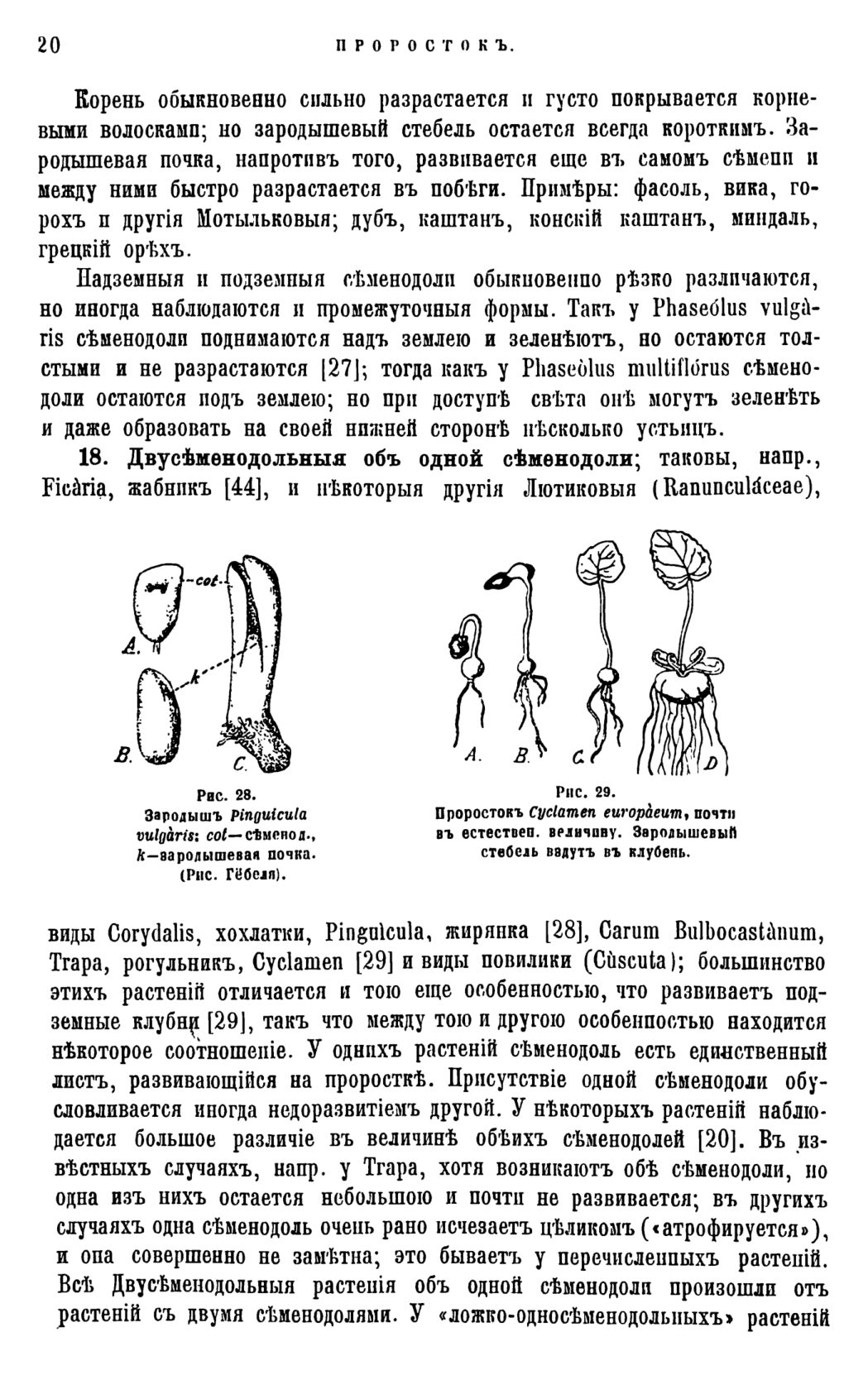 Скан страницы 23 книги «Систематика растений. Часть 1»