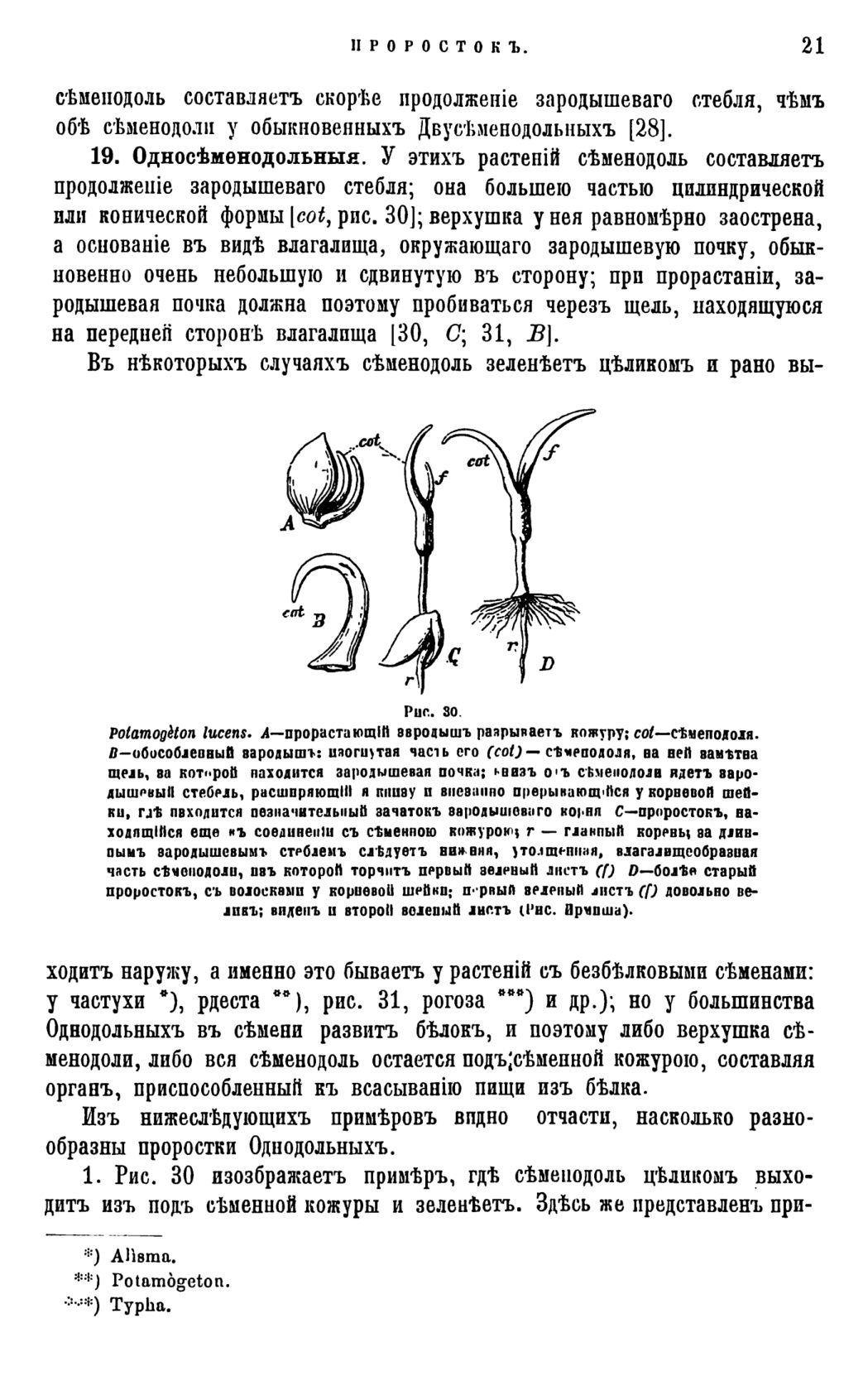 Скан страницы 24 книги «Систематика растений. Часть 1»