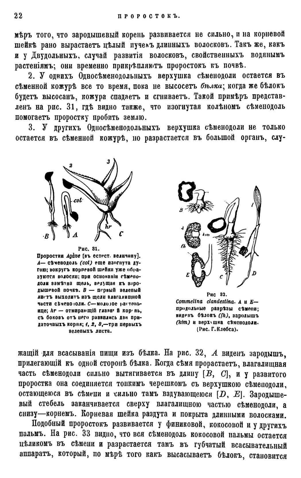 Скан страницы 25 книги «Систематика растений. Часть 1»