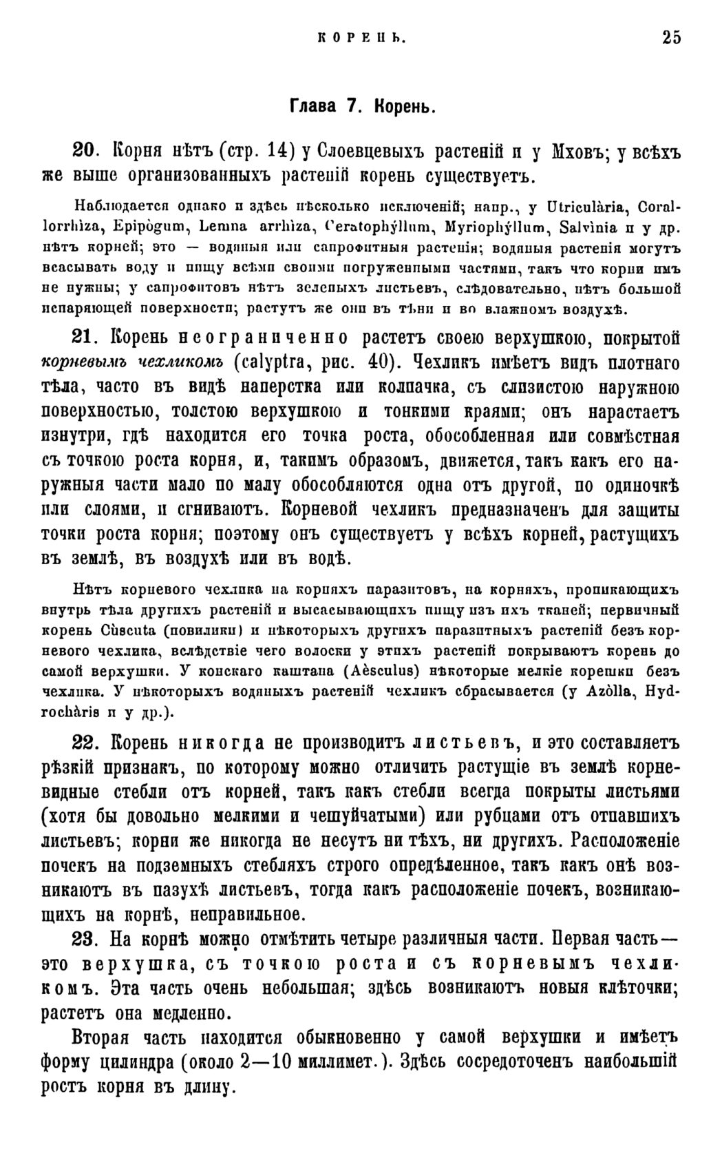Скан страницы 28 книги «Систематика растений. Часть 1»