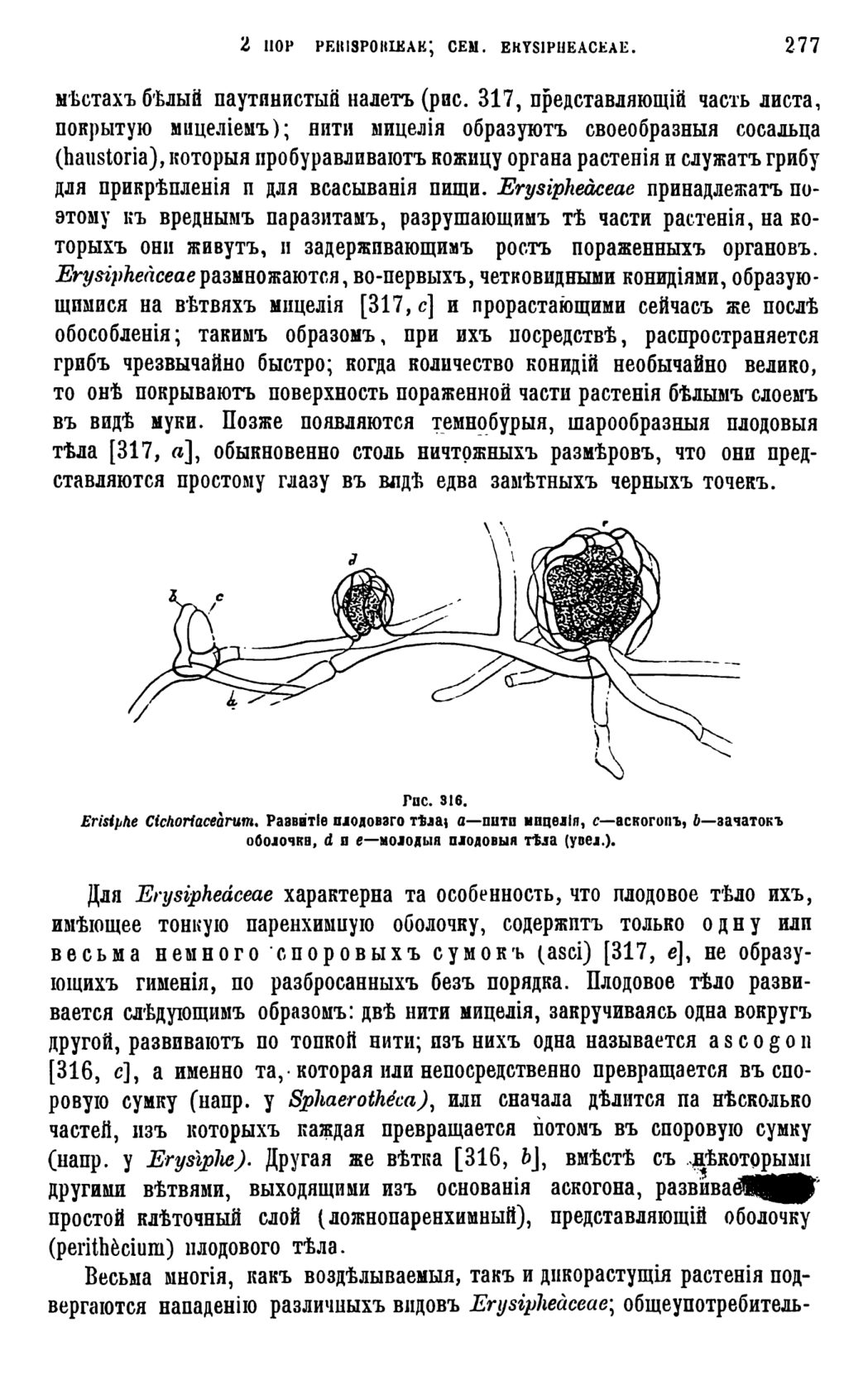 Скан страницы 280 книги «Систематика растений. Часть 1»