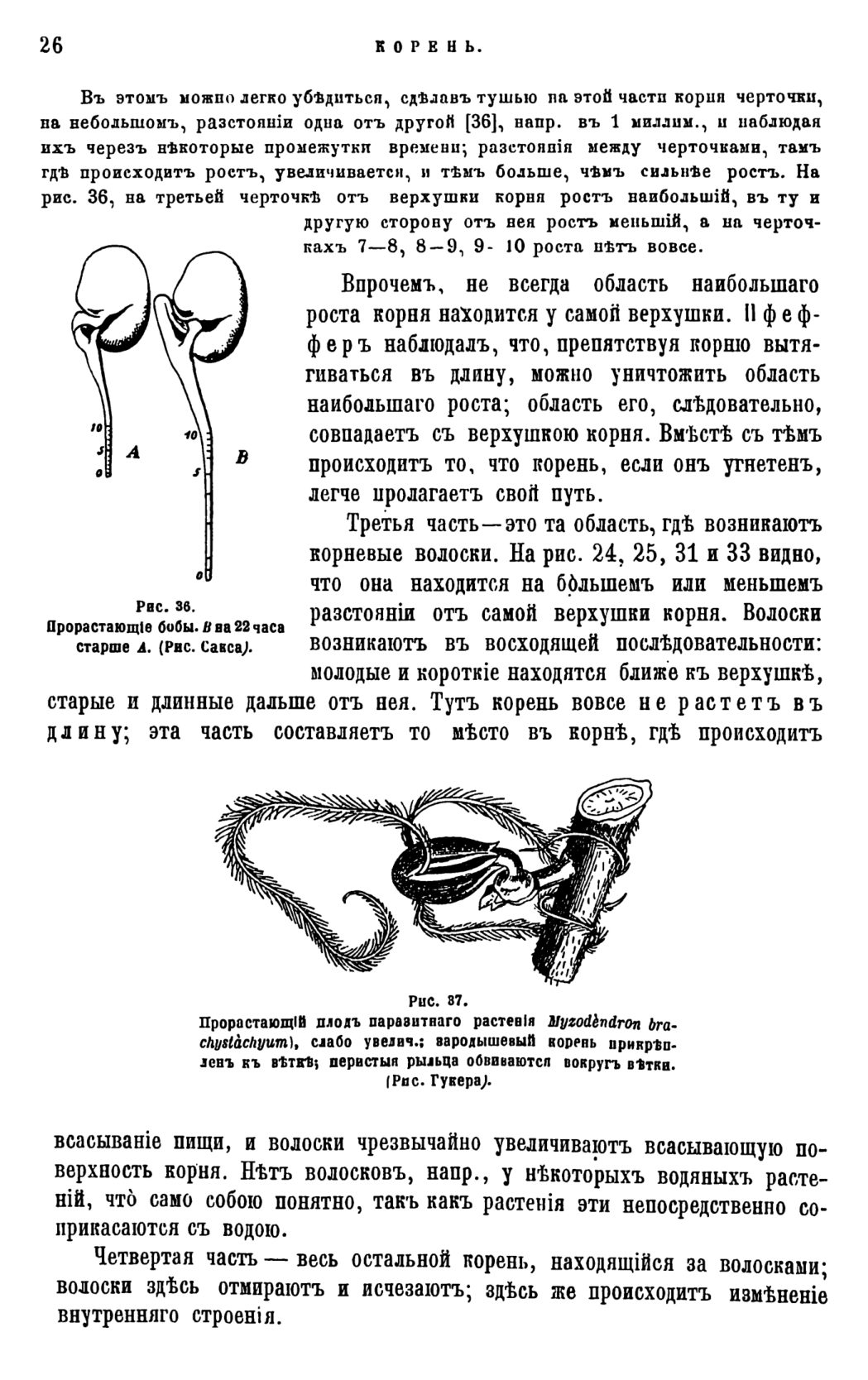 Скан страницы 29 книги «Систематика растений. Часть 1»
