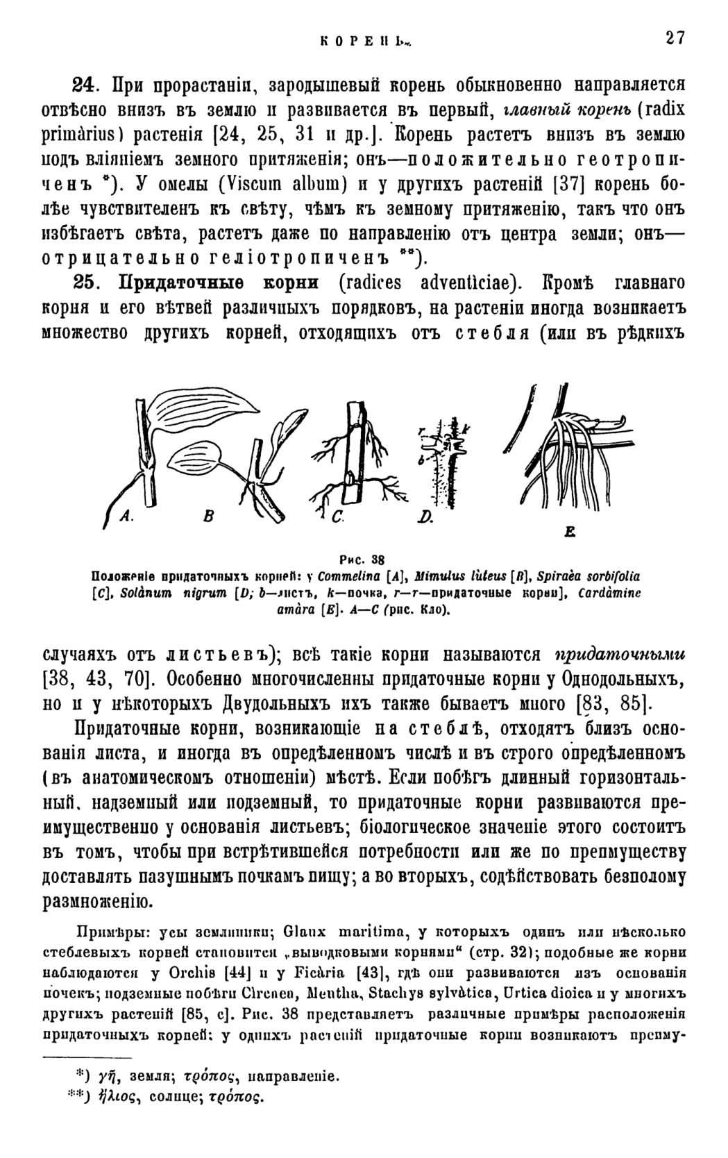 Скан страницы 30 книги «Систематика растений. Часть 1»
