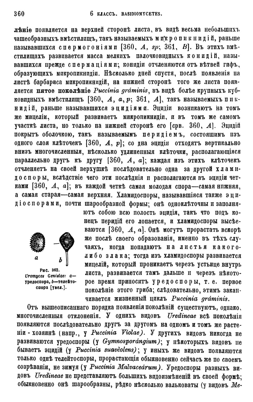 Скан страницы 309 книги «Систематика растений. Часть 1»