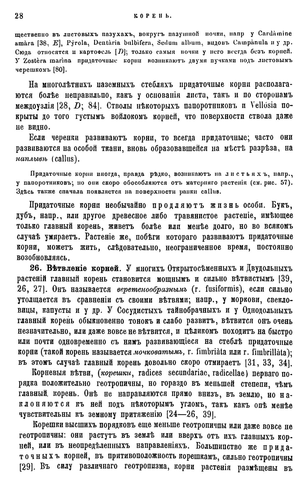 Скан страницы 31 книги «Систематика растений. Часть 1»