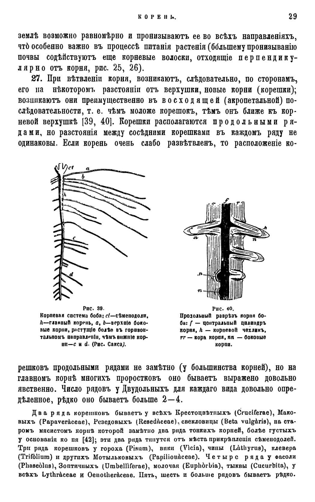 Скан страницы 32 книги «Систематика растений. Часть 1»